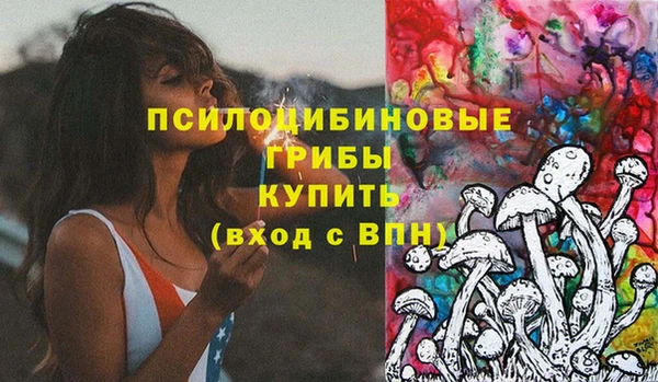спиды Липки