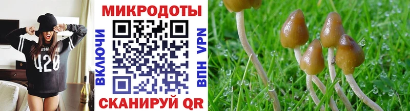 Галлюциногенные грибы Cubensis  мориарти телеграм  Сретенск  гидра маркетплейс 